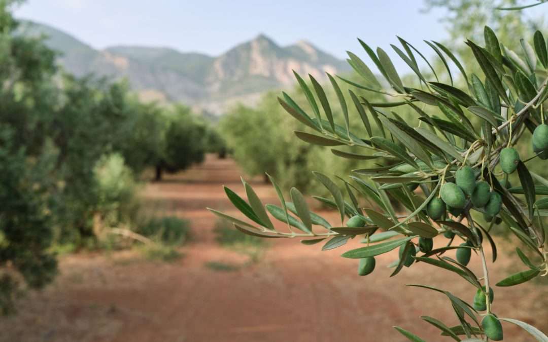 Escapadas de Fin de Semana Baratos en la Provincia de Jaén – Guía Esboutique